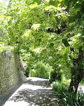 Logis Restaurant Le Plantevin 3* Propiac